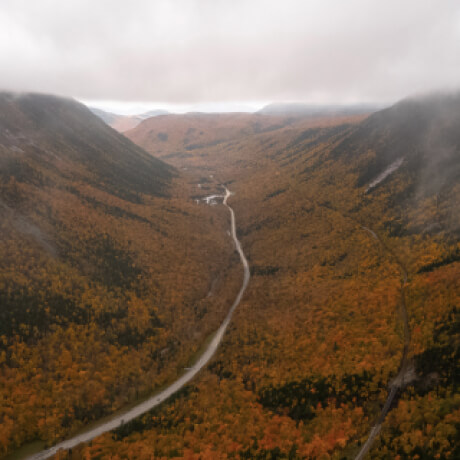 a New Hampshire landscape