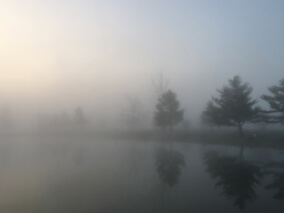 a foggy lanscape